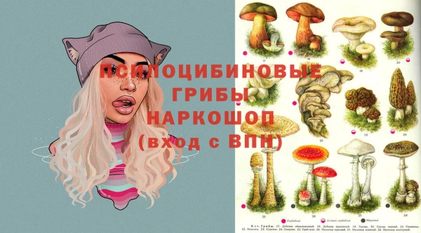 сатива Белоозёрский