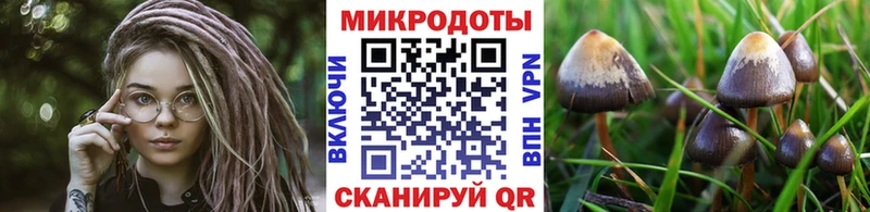 маркетплейс Telegram  Видное  Псилоцибиновые грибы мицелий  сколько стоит 