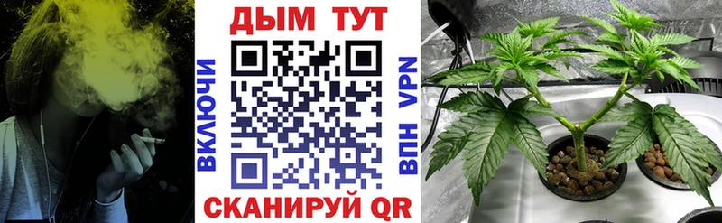 Бошки Шишки семена  закладка  Видное 